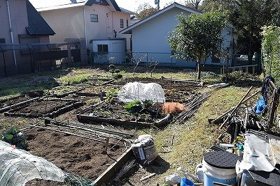 【周辺】 | 伊東かどの台　売地
