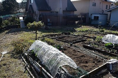 【周辺】 | 伊東かどの台　売地