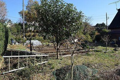 【周辺】 | 伊東かどの台　売地