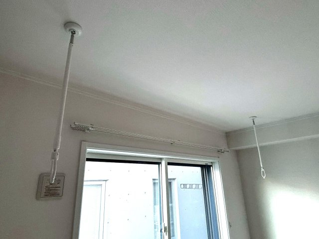 オークのその他