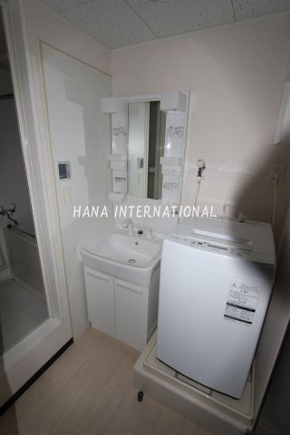 【独立洗面台】 | レオネクストチェリーガーデン