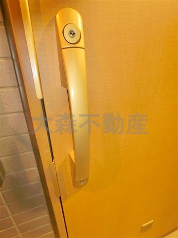 スモールシティハウス平和島の玄関