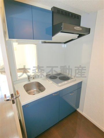 スモールシティハウス平和島のキッチン|2口IHシステムキッチン