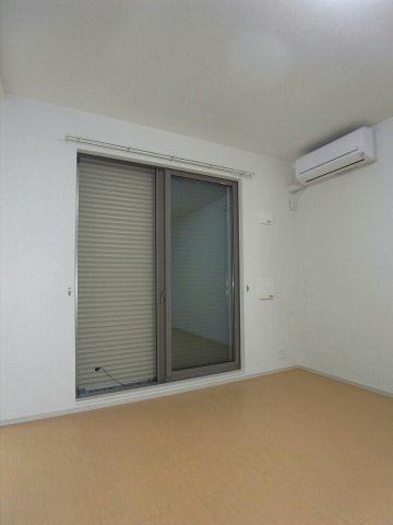 Ｖｅｒｄｅ　Ｃｏｌｌｉｎａのその他