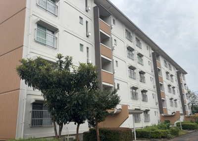 【外観】 | 大沢団地７号棟 | 外観はマンション管理がされているかの目安になります。築年数が古いと、壁面は劣化してひび割れが生じることも！建物が古びていても細かいところが修繕されていると、きちんと管理されているなぁと感じるでしょう。