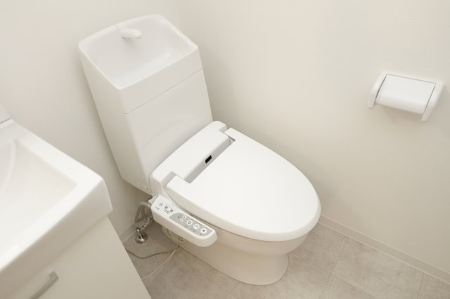 レピュア青砥レジデンスのトイレ