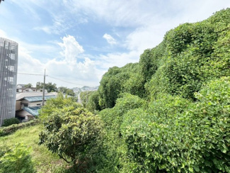 【展望】 | 高槻市緑が丘1丁目　中古戸建