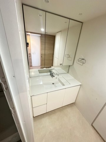 ウェリス茨木の洗面所