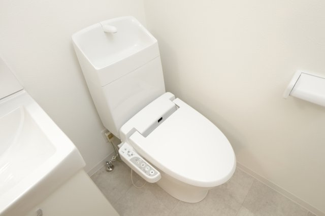 レピュア青砥レジデンスのトイレ