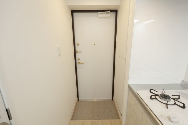 レピュア青砥レジデンスの玄関