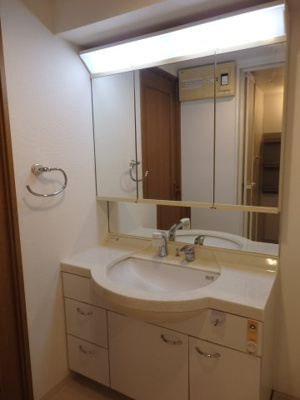 【独立洗面台】 | パレソレイユ西新宿