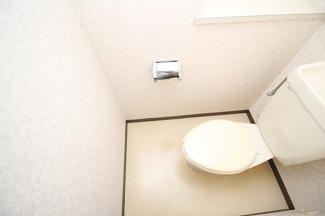 ダイアパレス中宝永町のトイレ|トイレです