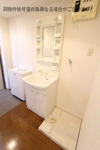 プリミエール大和通の洗面所