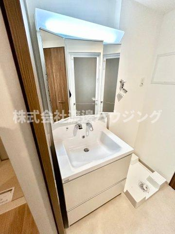 エリタージュ江坂の洗面所