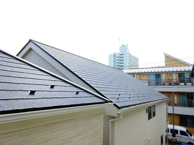 【展望】 | サニーツリー