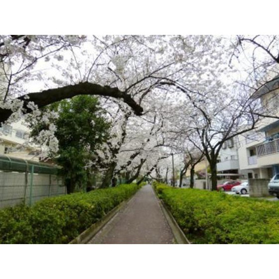 【周辺】 | ＰＲＥＳＥＮＴ・晴 | 公園「蛇崩川緑道まで196ｍ」