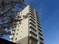 ネバーランド阿倍野西田辺の画像