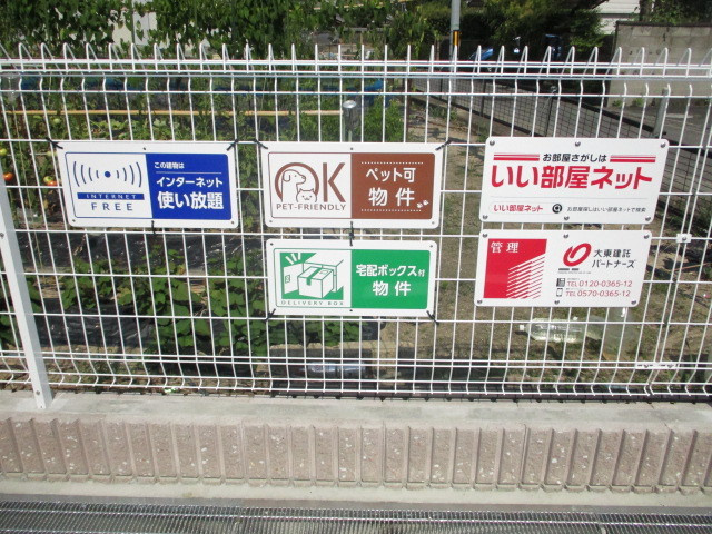 ピーチブロッサムのその他