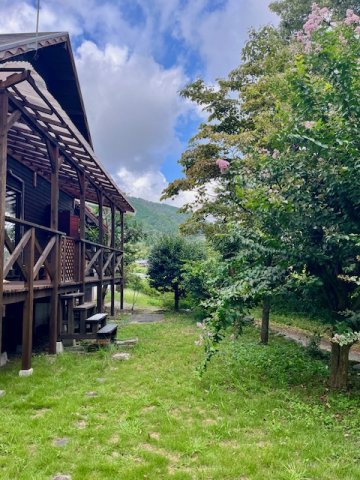 高島市今津町日置前中古戸建の庭