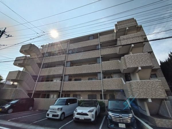 グリーンミユキ朝日の画像