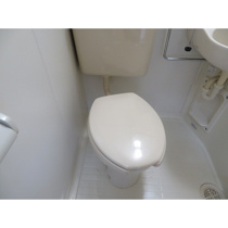 落ち着いた色調のトイレです