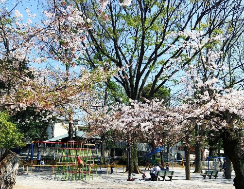 Alivis新江古田の周辺