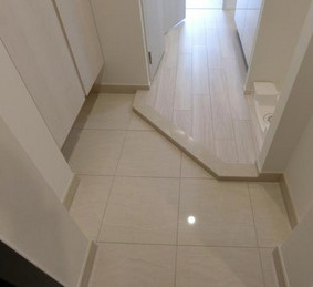 ルネフラッツ谷町四丁目の玄関