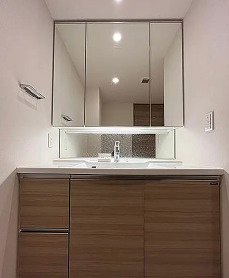 ブランズタワー御堂筋本町の独立洗面台