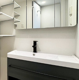 セレニテ難波リアンの独立洗面台