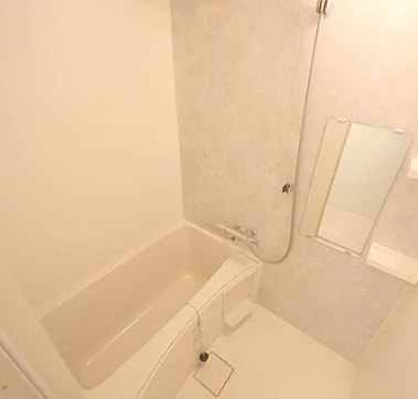 アドバンス大阪城べレッツァの浴室