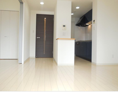 ルミエール北梅田の居間・リビング