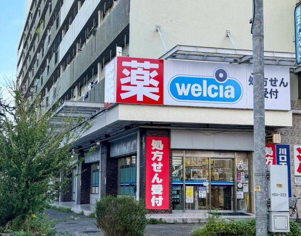 川口市元郷１丁目の賃貸マンションの周辺|ドラックストア