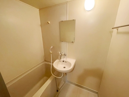 川口市元郷１丁目の賃貸マンションの洗面所|コンパクトで使いやすい洗面所