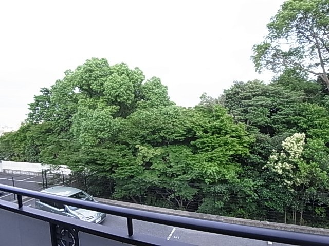 神戸市須磨区大手町５丁目のアパートの展望