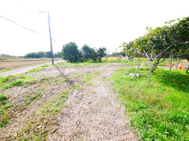 大網白里市南横川　中古戸建の庭|内外装リフォーム済み令和7年8月 敷地約185坪ドックラン・家庭菜園・バーベキューが可能です 
