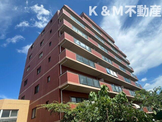 サングリーン海道割