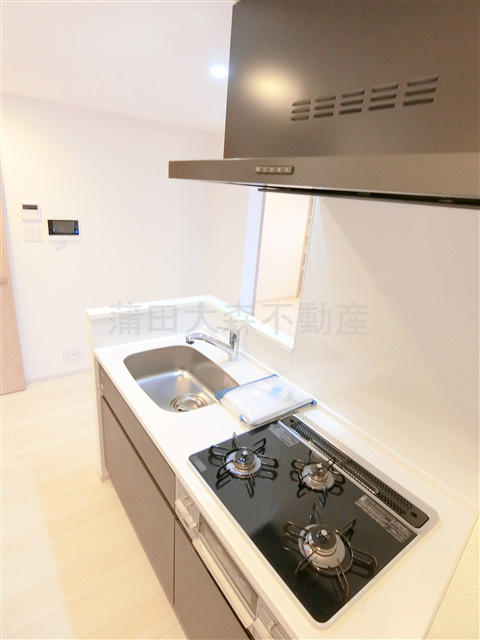 S-RESIDENCE大森bresaのキッチン