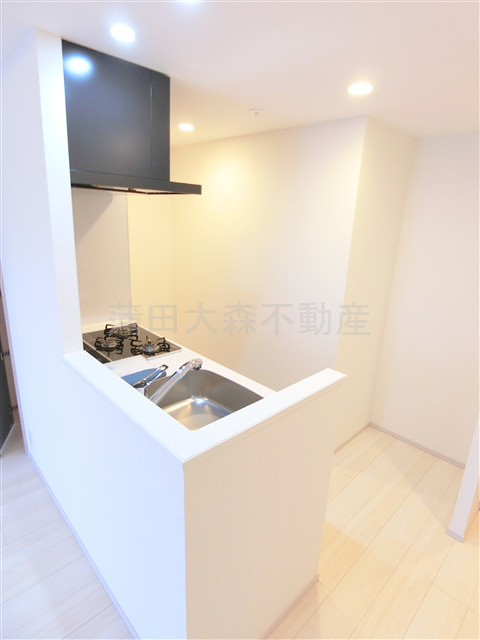 S-RESIDENCE大森bresaのキッチン