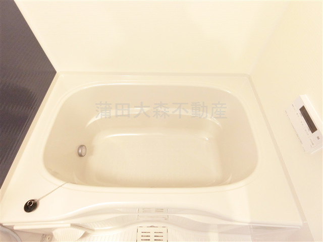 S-RESIDENCE大森bresaの浴室