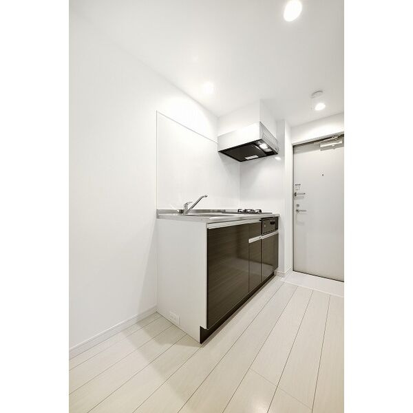 Caminoalta黄金(カミノアルタコガネ)　名古屋市賃貸　仲介手数料無料のキッチン