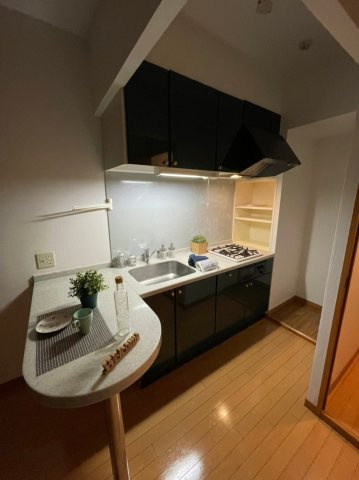 Casa Del Sol　名古屋市賃貸　仲介手数料無料のキッチン