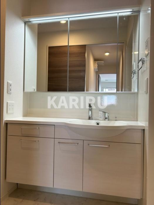 スペチアーレ巽中　C棟の洗面所