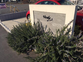 【その他】 | Ｖｅｒｄｅ