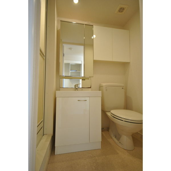 アイリーハイツ富士の独立洗面台