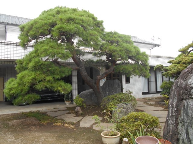 【外観】 | 甘楽郡甘楽町中古住宅（事務所併用）