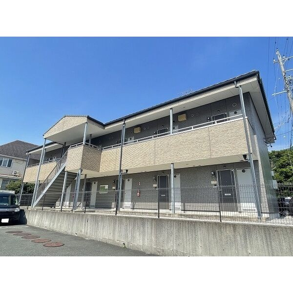 キャッスルカタバミ