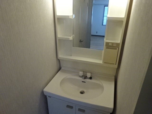 ミクロハイムの洗面所