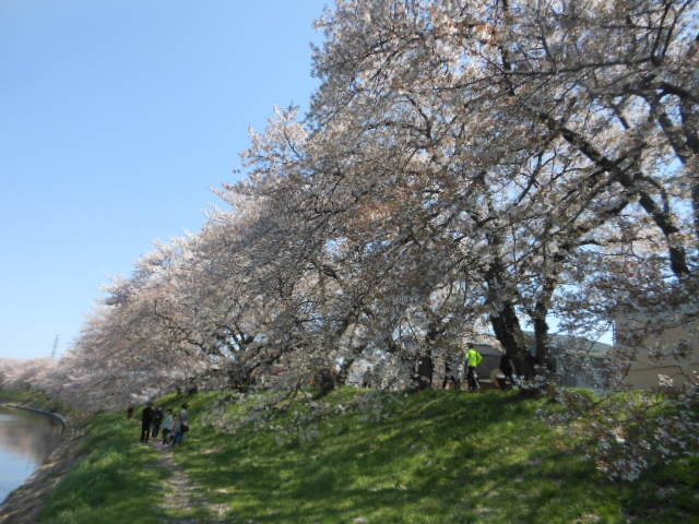 ヴェルデ越谷のその他|元荒川