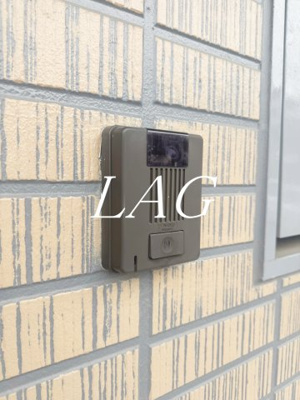 【その他】 | ドエル・ウッズ