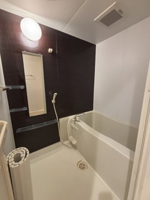 【浴室】 | シュトラルヴェヌス